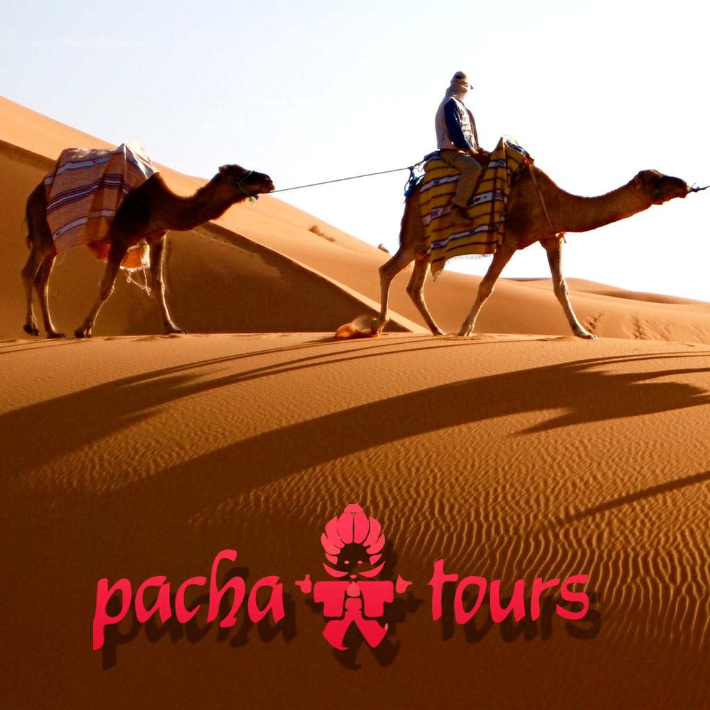 viagem-marrocos-pacha-tours-brasil