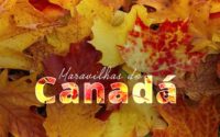 Conheça as maravilhas do Canadá