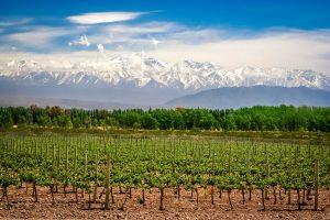 mendoza-argentina